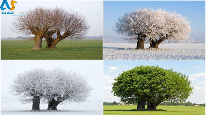 از فصل لو سیزن و های سیزن در گردشگری چه می دانید؟