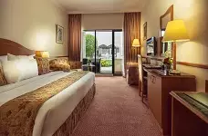 GOLDEN TULIP