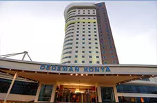 DEDEMAN