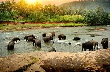 EDEN RESORT or CINNAMON BEY or HERITANCE AHUNGALLA