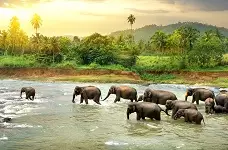 TURYAA KALUTARA or ARYANA QUEEN BEACH