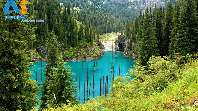 دریاچه ی عجیب در قزاقزستان با درختهای وارونه!