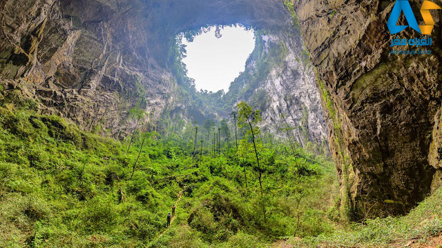سقف بسيار مرتفع غار سون دونگ ويتنام 