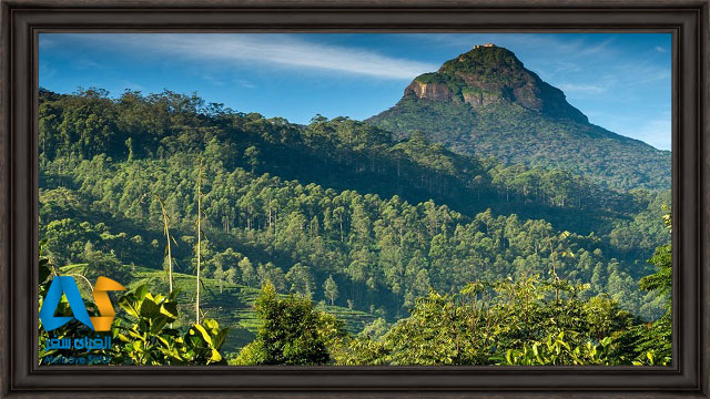 قله آدم مکانی مقدس و سرسبز در سریلانکا
