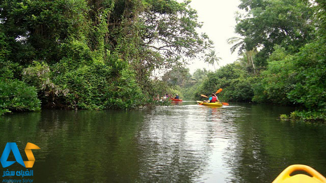كاياكينگ و قايق سواري در رودخانه هاي گوا هند