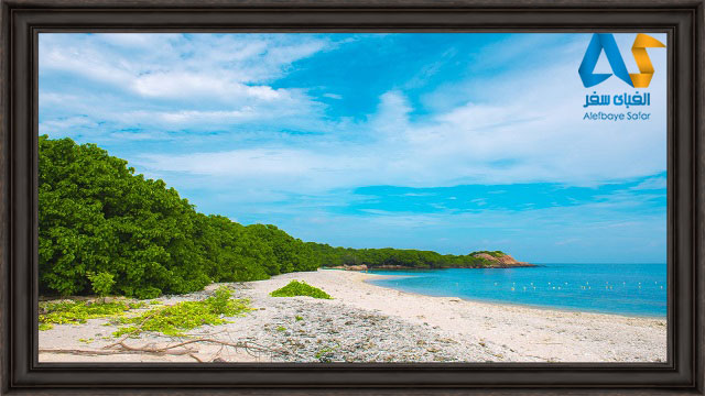 ساحل ترين كومالي سريلانكا با ماسه هاي سفيد و درختان سرسبز