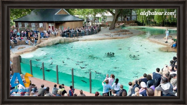 باغ وحش لندن London Zoo