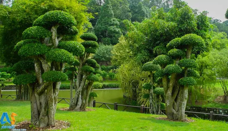 باغ گیاهشناسی پردانا مالزی-الفبای سفر