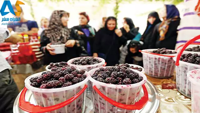 جشنواره شاتوت تهران،الفبای سفر