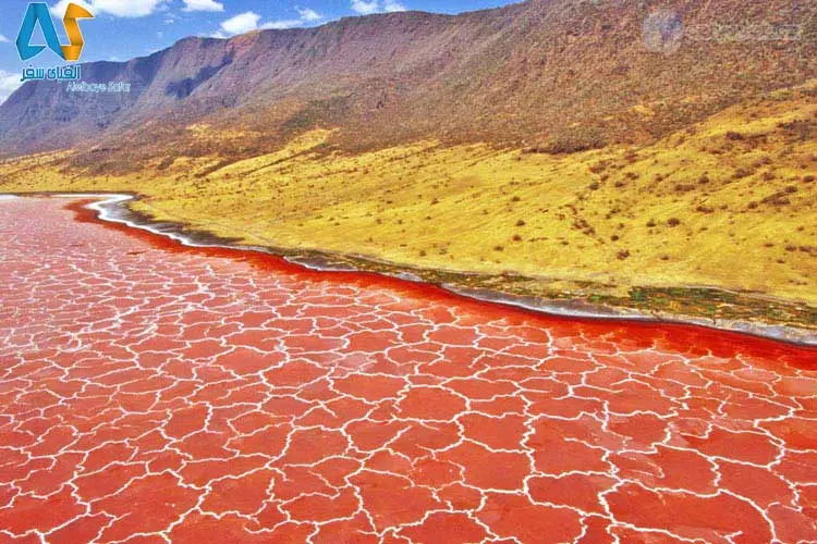 دریاچهی نمک ناترون  تانزانیا-الفبای سفر