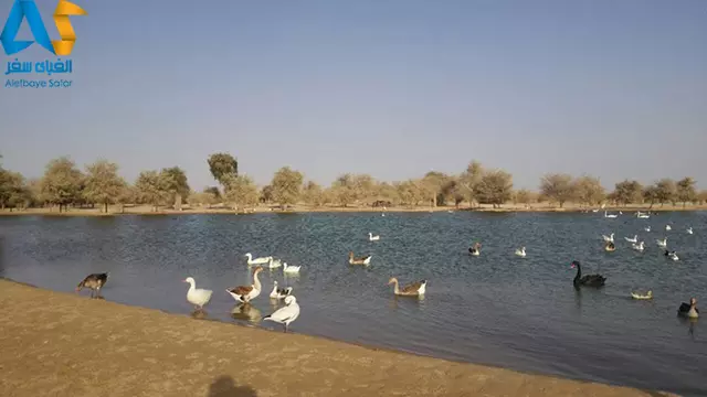 دریاچه القدرا دبی،الفبای سفر