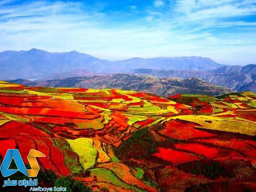 سرزمین سرخ دانگ،چین-الفبای سفر
