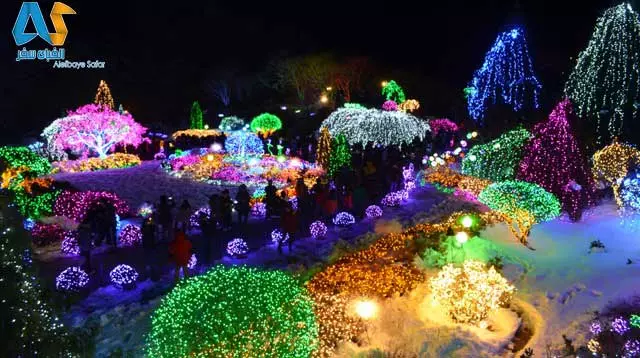 فستیوال نور ژاپن-الفبای سفر