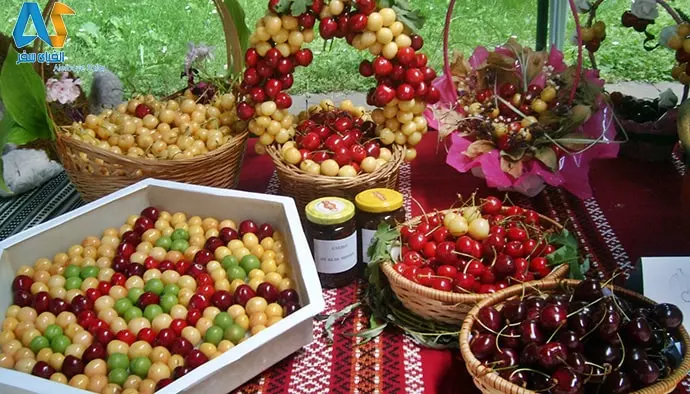 فستیوال گیلاس،کیوستندیل-الفبای سفر