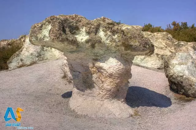 قارچهای  سنگی در بلغارستان-الفبای سفر