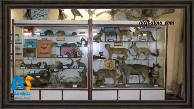 موزه تاریخ طبیعی اصفهان
