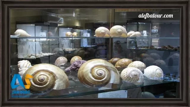 موزه صدف اصفهان