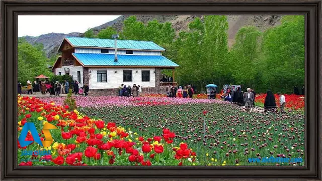 تماشای لاله های دلربا در باغ گل لاله گچسر