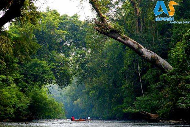 پارک ملی تامان نگارا در مالزی-الفبای سفر