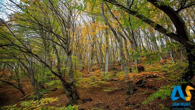 پارک ملی تفلیس گرجستان