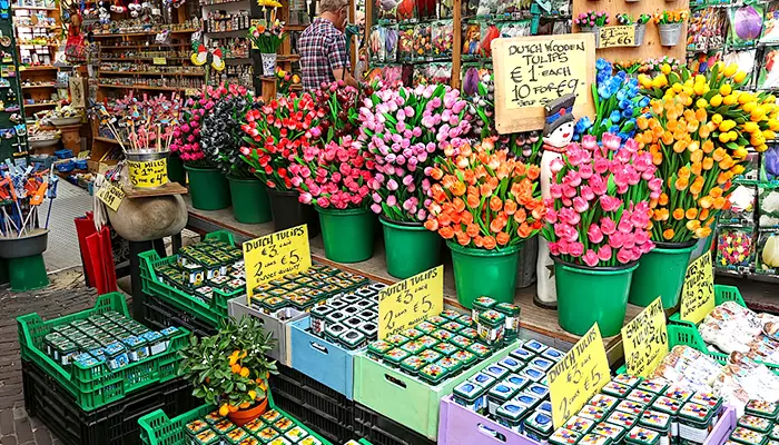 بازار گل شناور آمستردام از مشهورترین جاهای دیدنی هلند