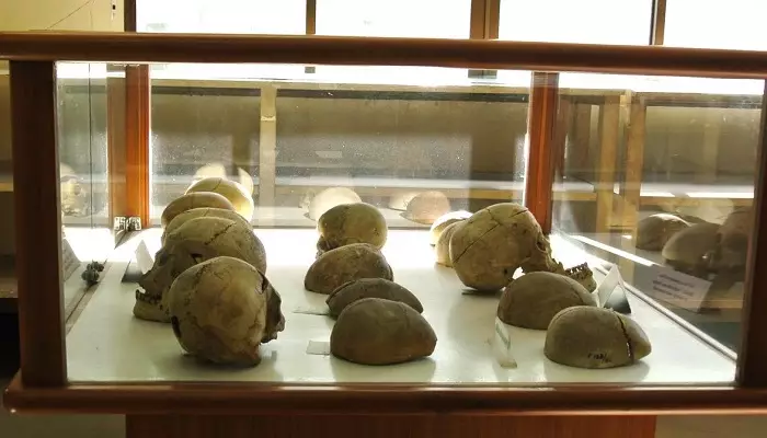 موزه پزشکی بانکوک