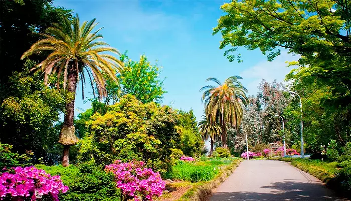 باغ گیاه شناسی باتومی گرجستان