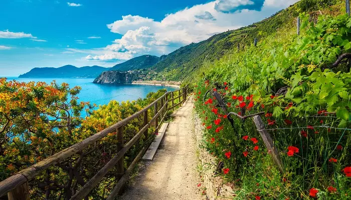 پارک ملی سینکو تره اروپا