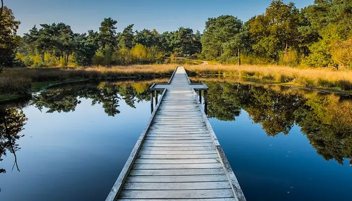 پارک فوندل | جاهای دیدنی هلند کجاست