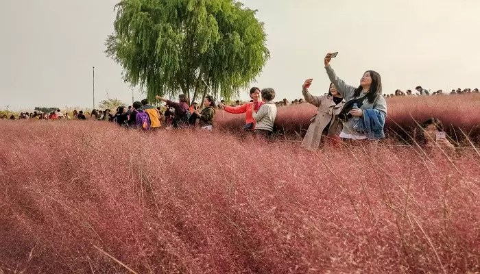 پارک هانئول از جاهای دیدنی اطراف سئول