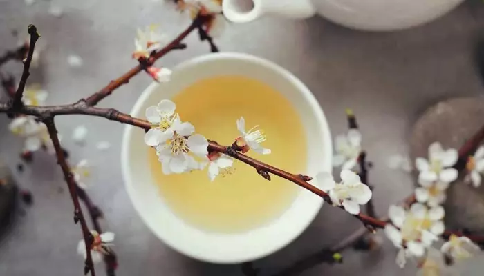 چای سفید ژاپنی