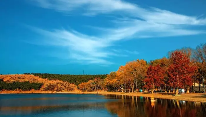 دریاچه لیسی گرجستان