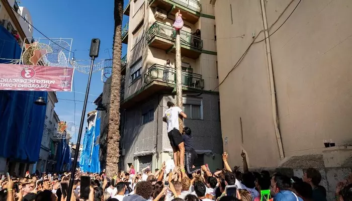 پالو خابون