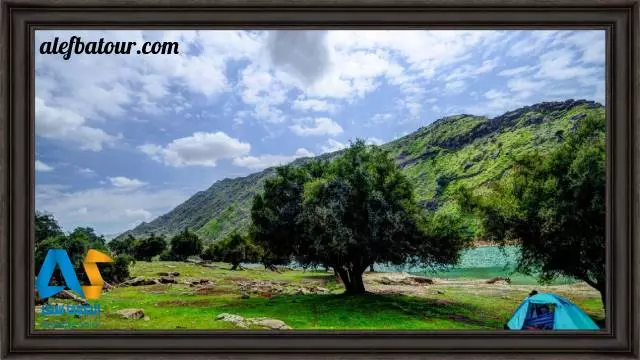 نمایی دیدنی از دشت سوسن در بهار