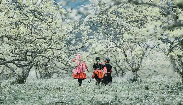 آب و هوای ویتنام در زمستان