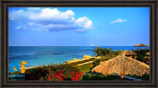 سواحل زیبای دریای خلیج فارس