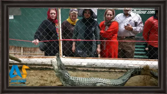 بازدیدکنندگان در پارک نوپک قشم (کروکودیل)