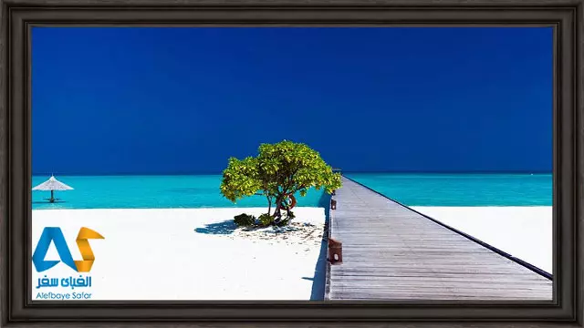 ساحل زیبای مالدیو با ماسه های سفید و درخت سبز