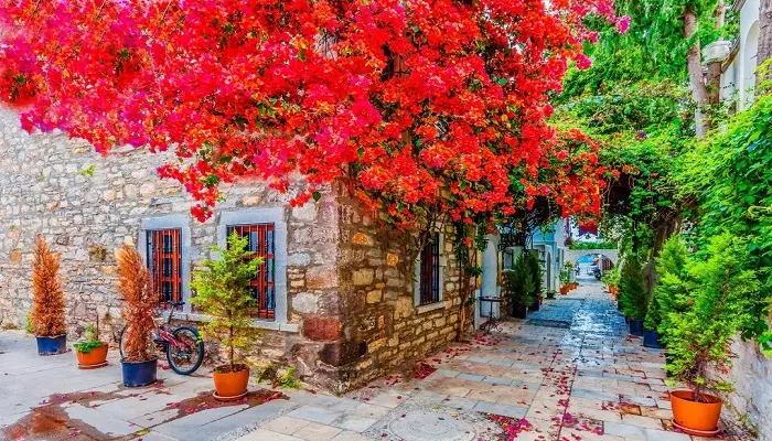 شهر قدیمی از جاهای دیدنی بدروم