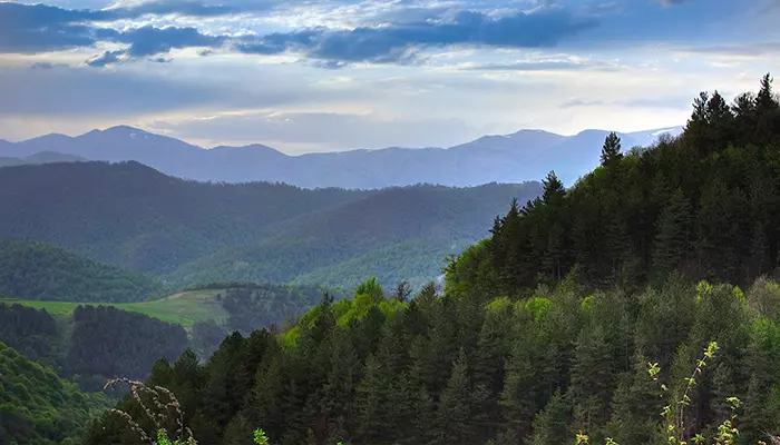 پارک ملی دلیجان از معروف ترین جاهای دیدنی ارمنستان