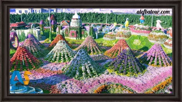 باغ گل معجزه در دبی