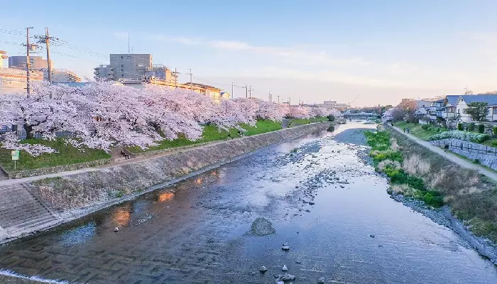 رودخانه کامو دیدنیهای کیوتو ژاپن