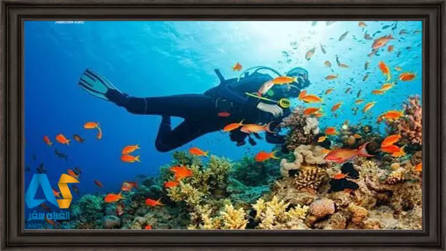 غواصی در کوش آداسی-الفبای سفر