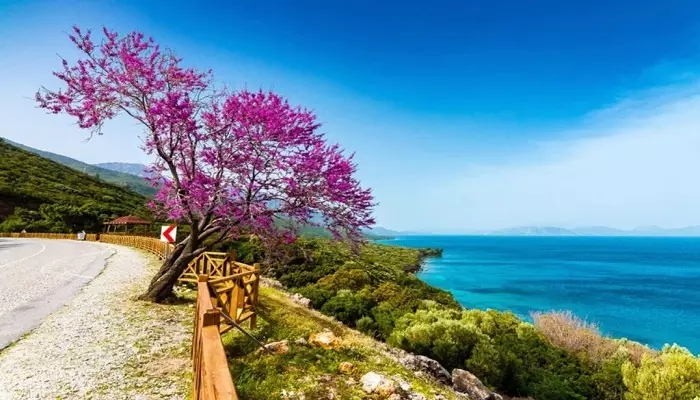 بهترین زمان سفر به کوش آداسی