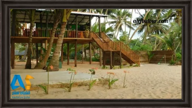 رستوران Rock beach در بنتوتا