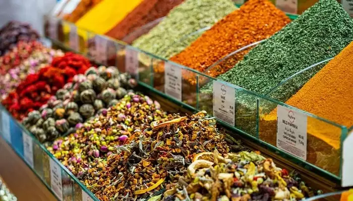 شهر کوش آداسی کجاست