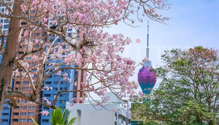 آب و هوای سریلانکا در نوروز