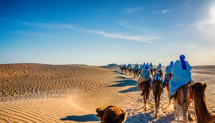صحرای بزرگ تونس کجاست