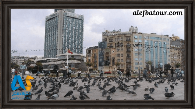 کبوترهای میدان تکسیم