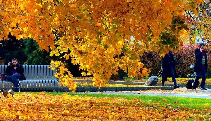 آب و هوای ایروان در پاییز